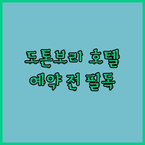 도톤보리 호텔 예약 전 필독! 장단점 완벽 비교 분석