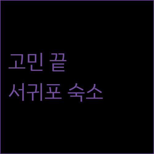 호텔 예약 고민 끝 서귀포 호텔, 펜션 완벽 분석