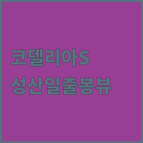 가성비 갑 코델리아S호텔! 성산일출봉 뷰 실화?