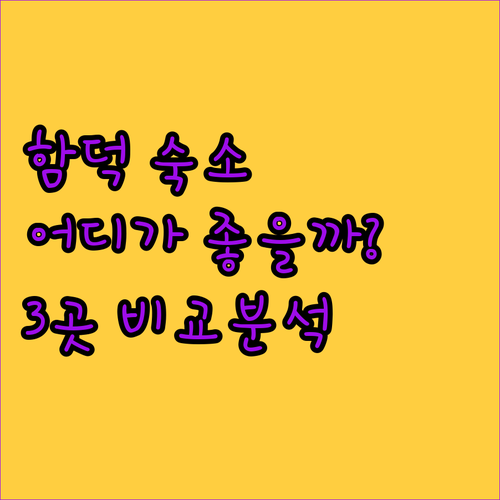 제주 함덕 숙소 고민 끝! 호텔스위트캐슬 vs 아이미 vs 함덕비치스테이제주 어디가 좋을까?