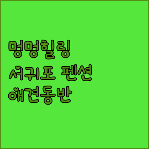 서귀포 애견동반 펜션 추천 늘바다 펜션에서 멍멍이와 함께 힐링!