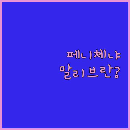 숨겨진 베니스 숙소 찾기! 레지던스 라 페니체 vs 호텔 말리브란, 당신의 선택은?