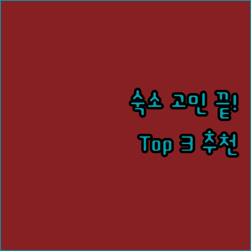 이시가키 섬 숙소 고민 끝! 가성비 & 위치 좋은 곳 Top 3 추천!