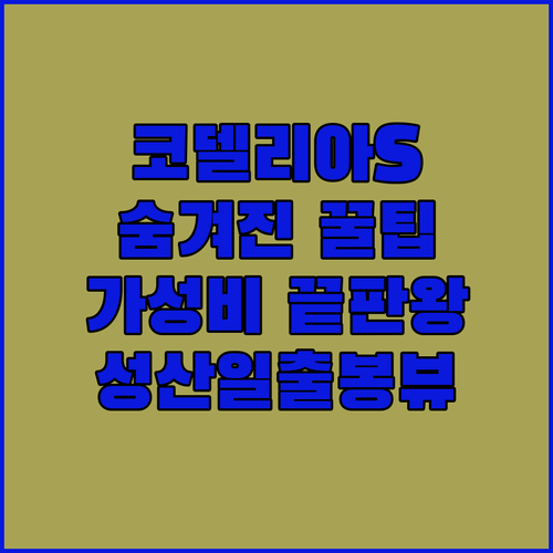 코델리아S호텔 숨겨진 꿀팁 대방출! 가성비 끝판왕, 성산일출봉 뷰는 덤!