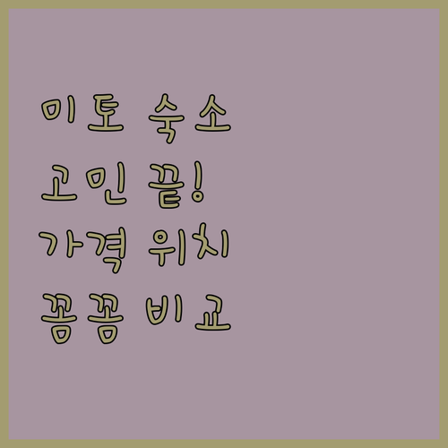 미토 숙소 고민 끝! 가격, 위치, 서비스 꼼꼼 비교 분석