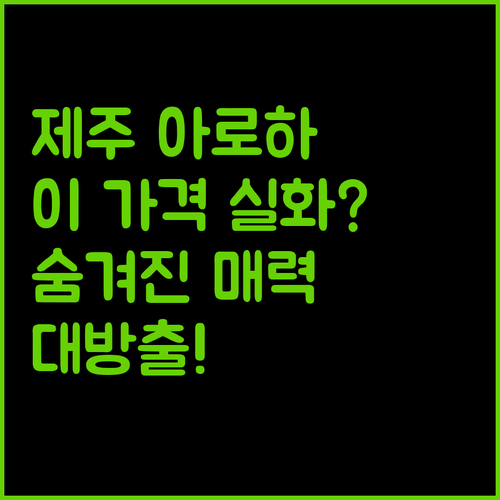 제주 '호텔아로하', 이 가격 실화? 숨겨진 매력 파헤치기!