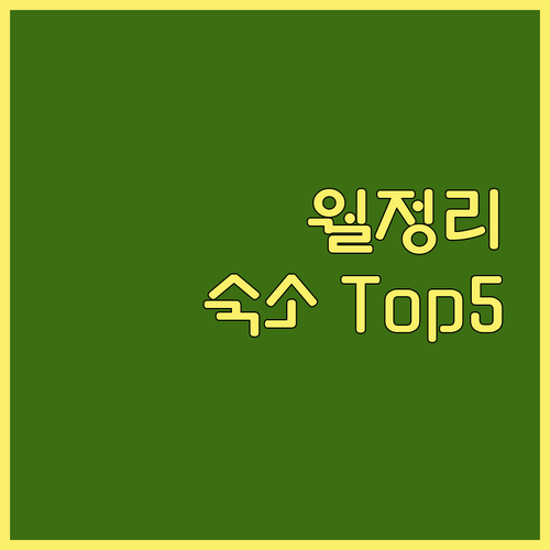 제주 월정리 해변 근처 추천 숙소 Top 5