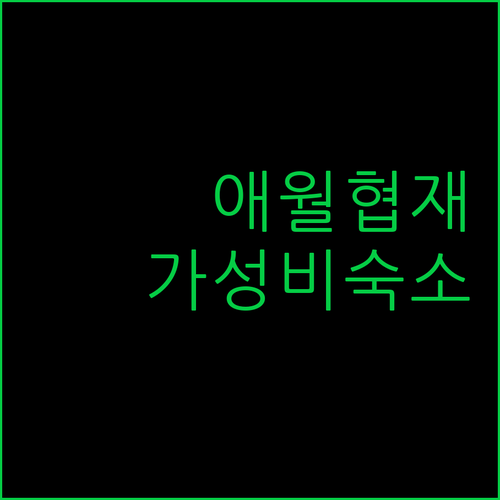 애월, 협재 가성비 숙소 추천 제주 여행객 필독
