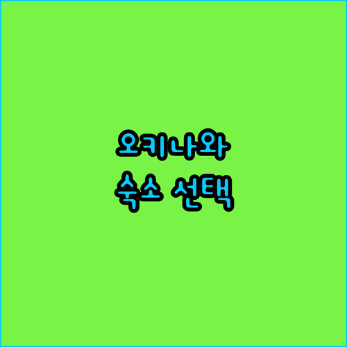 오키나와 숙소 선택 꿀팁 인기 호텔별 장단점 분석