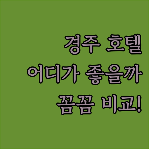 경주 호텔 어디가 좋을까 첨성대하우스 vs 리버틴호텔 조식부터 위치까지 꼼꼼 비교!