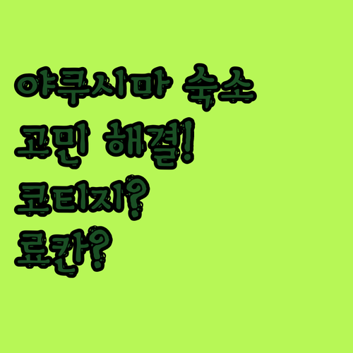 야쿠시마 숙소 고민 해결 코티지에서 료칸까지 맞춤 추천