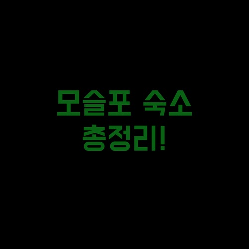 모슬포 호텔 예약 전 필독 드림제주호텔부터 호텔 52까지 숙소 규정 한눈에 비교