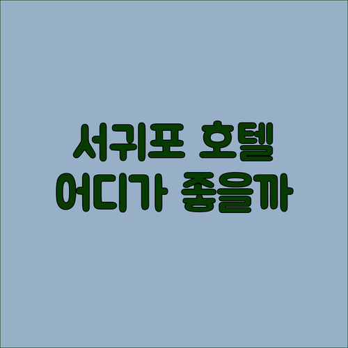 제주 여행객 필독 서귀포 인기 호텔 비교