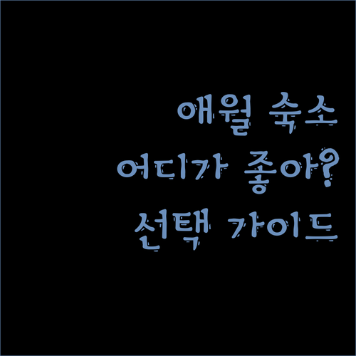 애월 펜션 & 호텔 고민 끝! 여행과 치유 vs 샐리스 제주 vs 애월 스테이 인 제주 어디가 좋을까?