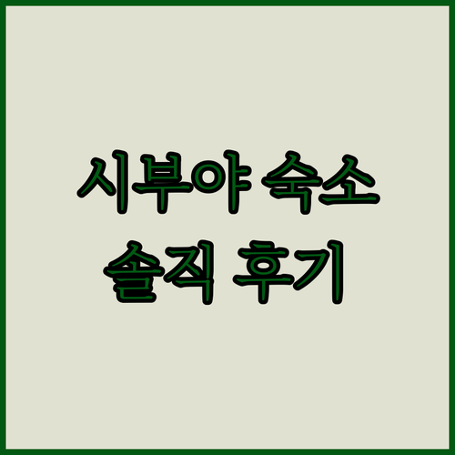 시부야 핫플레이스 Dormy Inn Premium Jingumae Hot Spring 솔직 후기