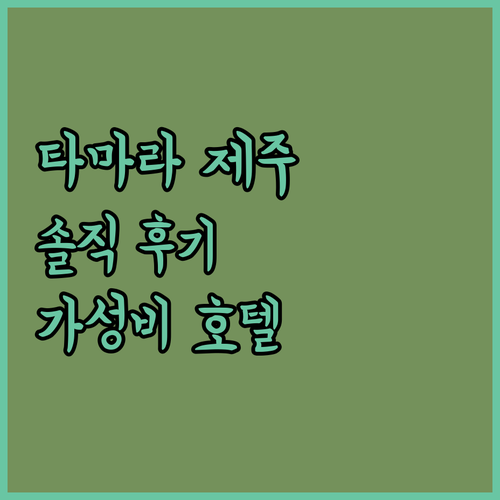 타마라 제주 솔직 후기 신서귀포 가성비 호텔의 모든 것