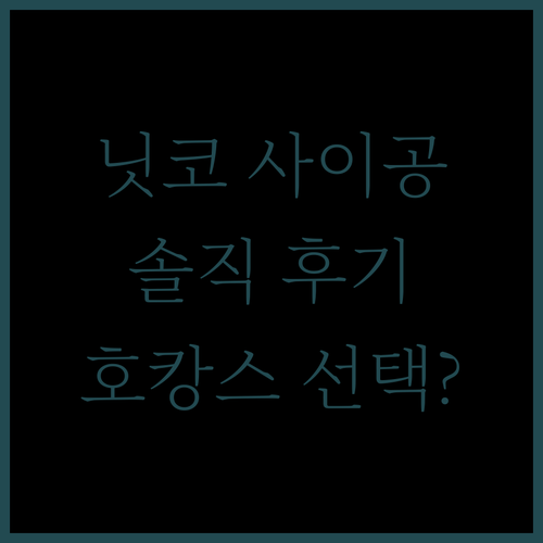 호텔 닛코 사이공.. 완벽한 호캉스를 위한 선택? 솔직 후기 공개!