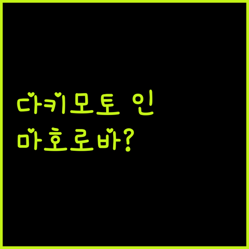 다키모토 인 vs 호텔 마호로바! 노보리베츠 온천, 어디가 더 좋을까? 솔직 비교!