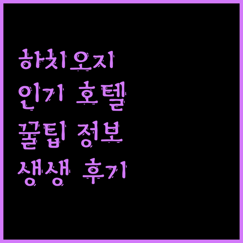 하치오지 인기 호텔 숙박 규정 및 생생한 이용 후기