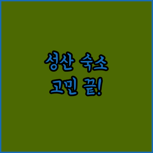 제주 성산 숙소 고민 해결 프롬에이치 티리조트부터 성산 마리나 호텔까지