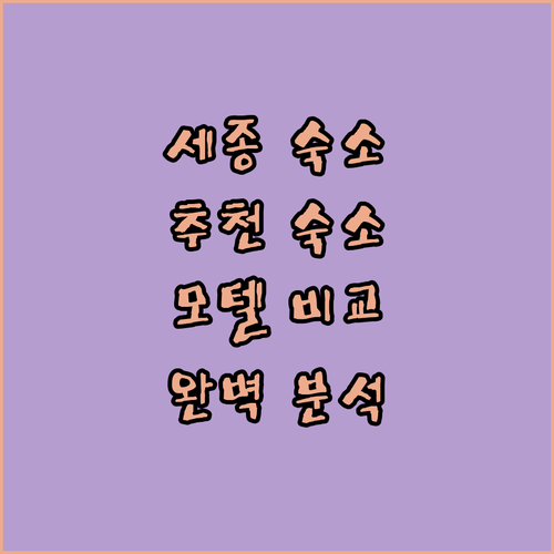 세종 숙소 추천 자자무인텔, 시크릿, 오즈, 톰지, 아늑 호텔 완벽 비교!