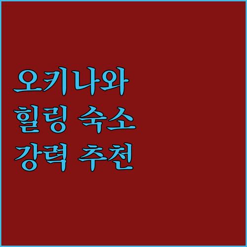 EM 웰니스 리조트 코스타비스타 오키나와 호텔 & 스파.. 청결, 온천, 그리고 힐링!