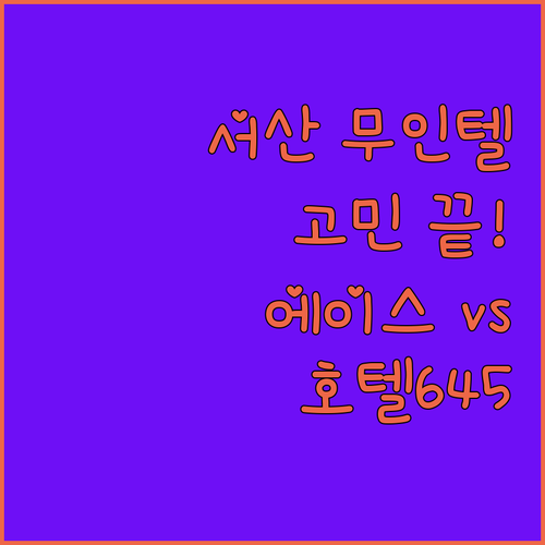 서산 무인텔 & 호텔 고민 끝! 에이스 드라이빙, 호텔645 완벽 비교!